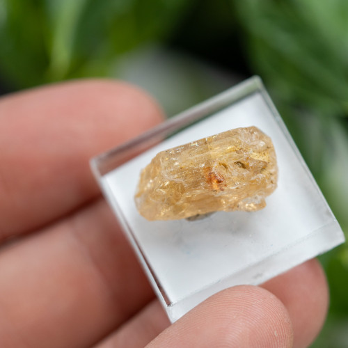 Imperial Topaz #1