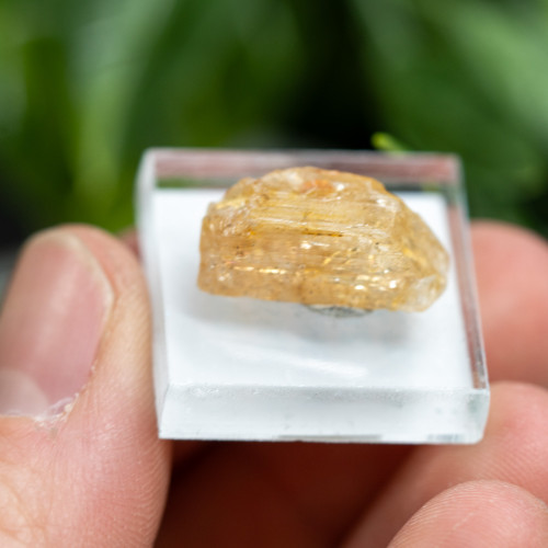 Imperial Topaz #1