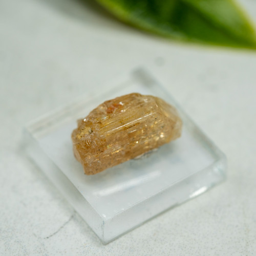 Imperial Topaz #1