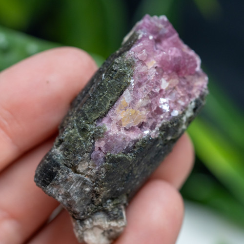 Watermelon Tourmaline #2