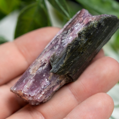 Watermelon Tourmaline #1