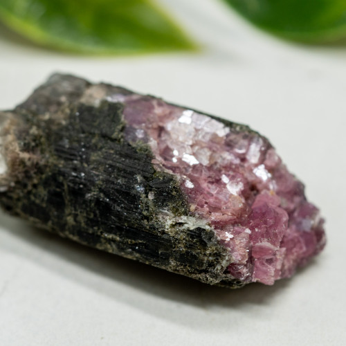 Watermelon Tourmaline #2