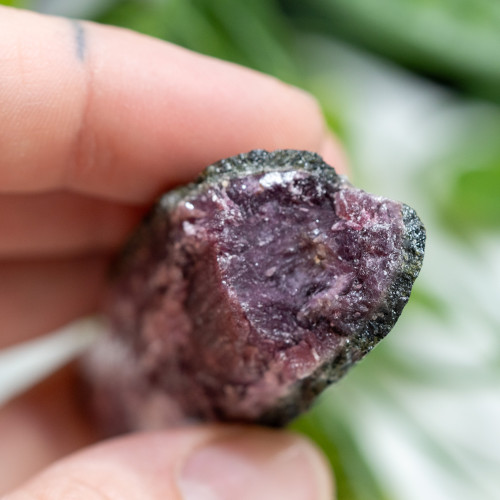 Watermelon Tourmaline #1