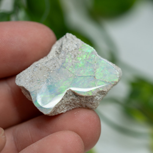 Opal Polished Slab #3