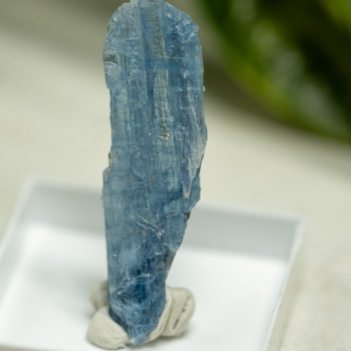 Blue Kyanite (Gemmy) #3