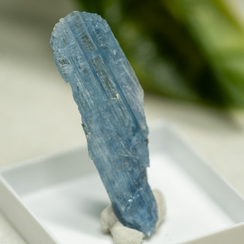 Blue Kyanite (Gemmy) #3