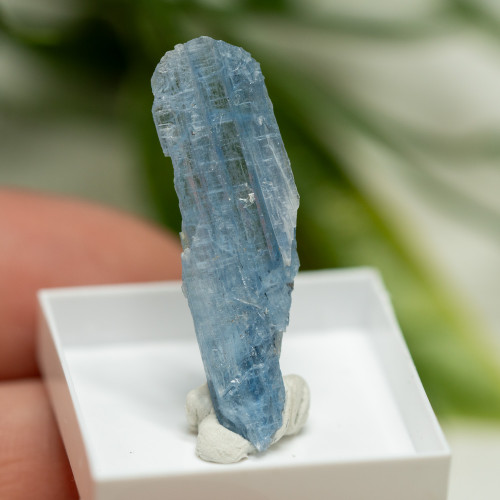 Blue Kyanite (Gemmy) #3