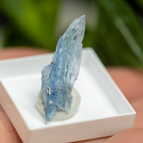 Blue Kyanite (Gemmy) #2