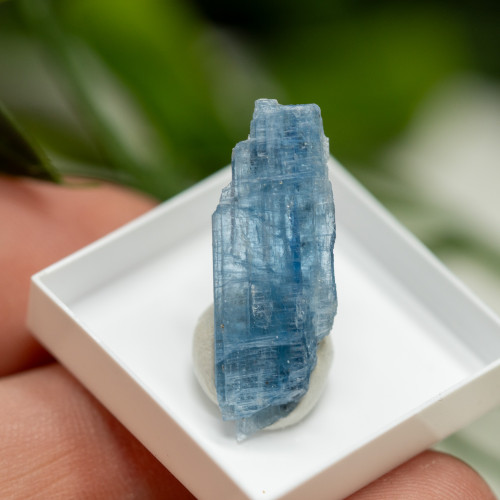 Blue Kyanite (Gemmy) #1