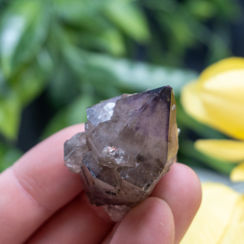 Smoky Amethyst Double Terminated #1