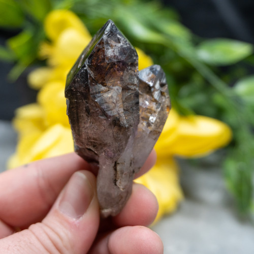 Smoky Amethyst Sceptar on Quartz #1