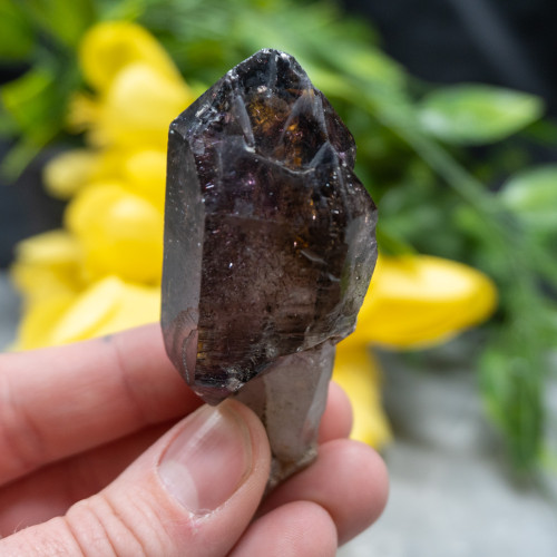 Smoky Amethyst Sceptar on Quartz #1