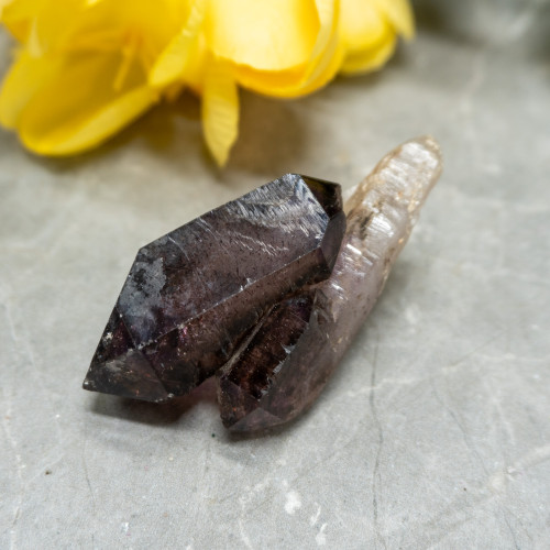 Smoky Amethyst Sceptar on Quartz #1