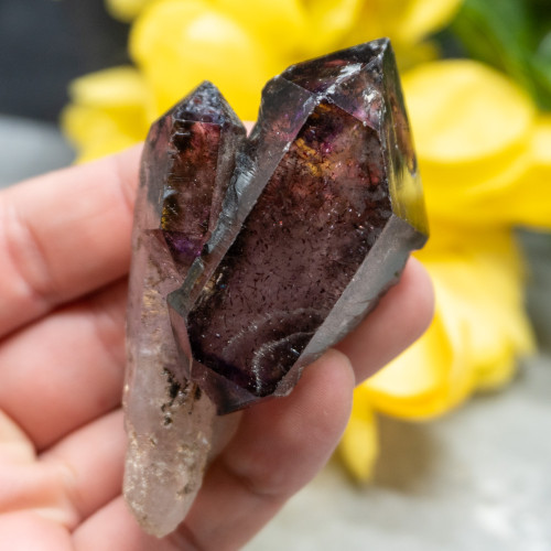 Smoky Amethyst Sceptar on Quartz #1