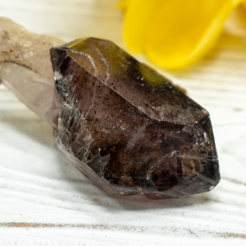 Smoky Amethyst Sceptar on Quartz #1