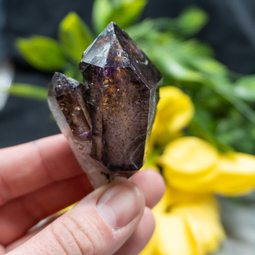 Smoky Amethyst Sceptar on Quartz #1