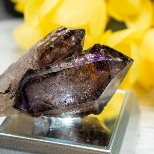 Smoky Amethyst Sceptar on Quartz #1