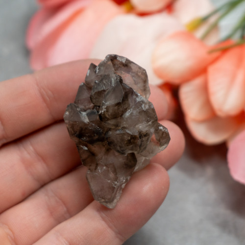 Elestial Smoky Quartz #2