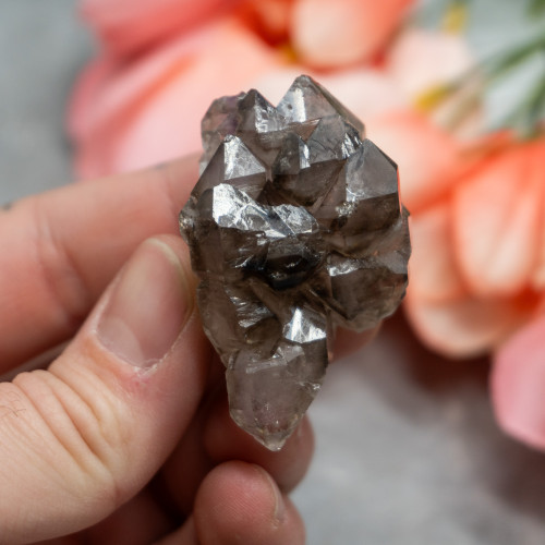 Elestial Smoky Quartz #2