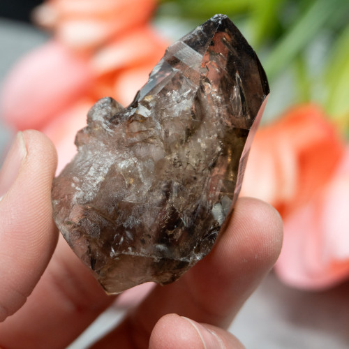 Elestial Smoky Quartz #1