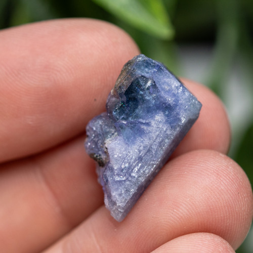 Tanzanite Raw #8