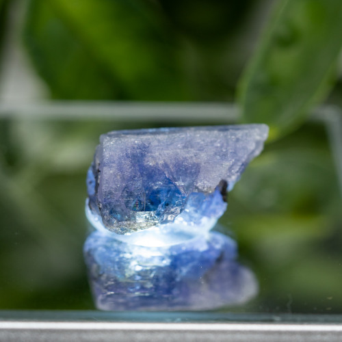 Tanzanite Raw #8