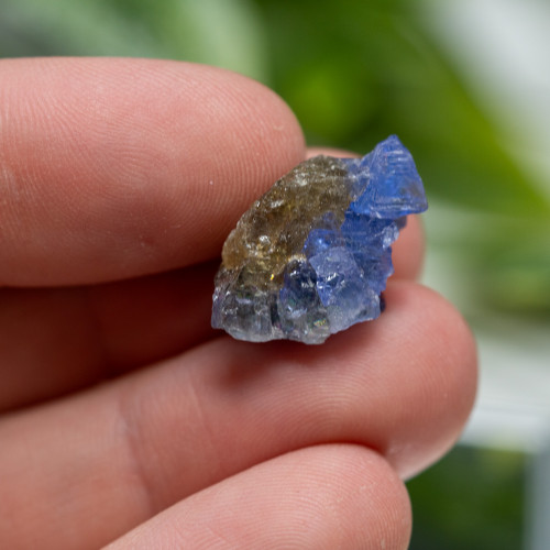 Tanzanite Raw #1