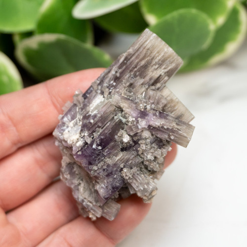 Purple Aragonite #14