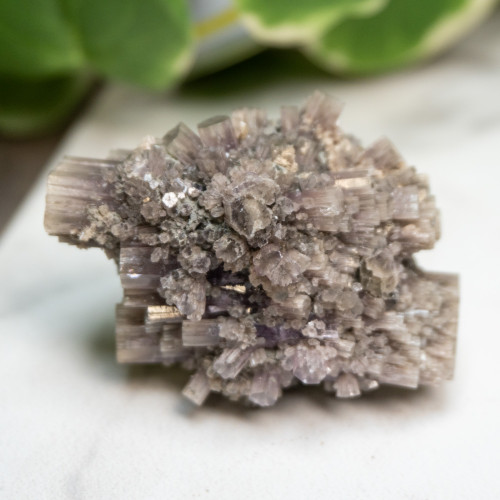 Purple Aragonite #13