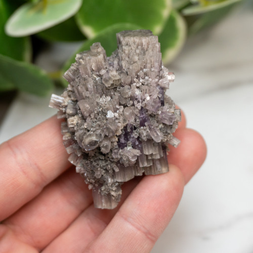 Purple Aragonite #13