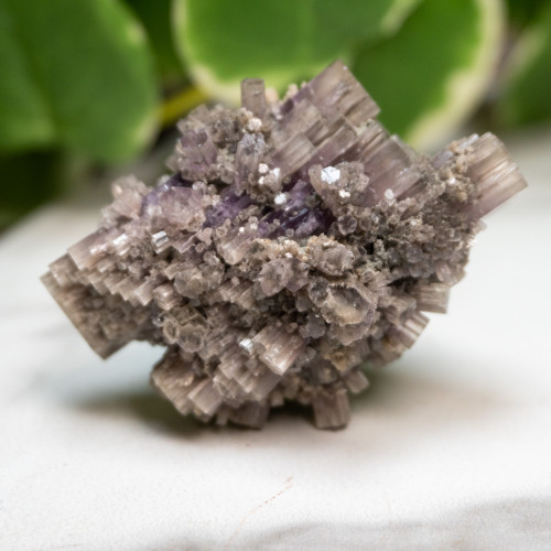 Purple Aragonite #13