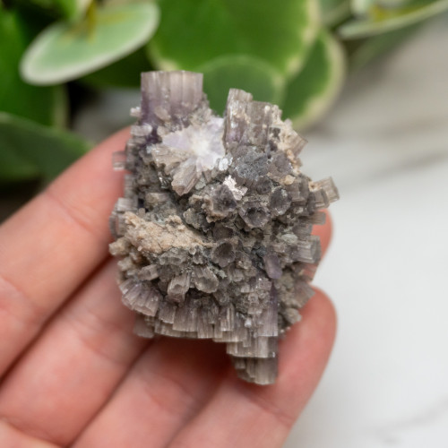 Purple Aragonite #13