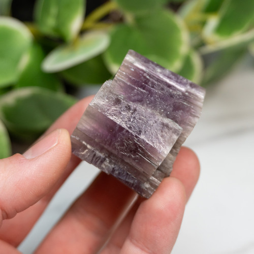 Purple Aragonite #12