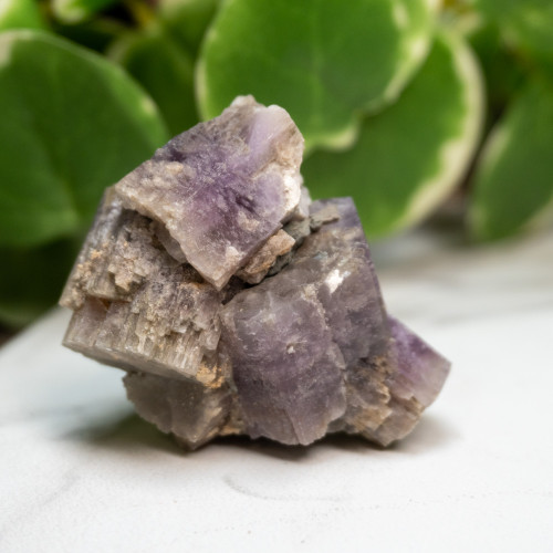 Purple Aragonite #11