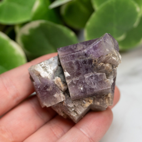 Purple Aragonite #11