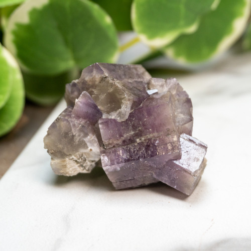 Purple Aragonite #11