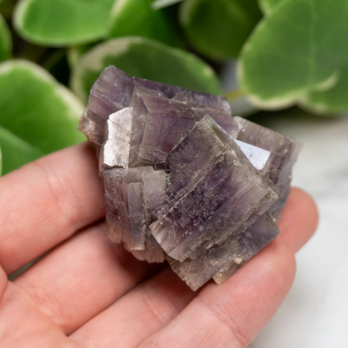 Purple Aragonite #11