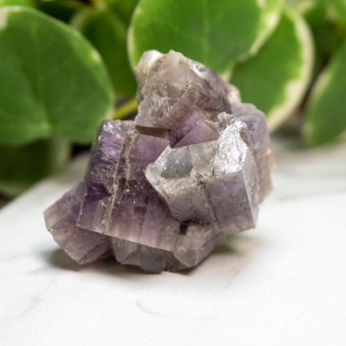 Purple Aragonite #11