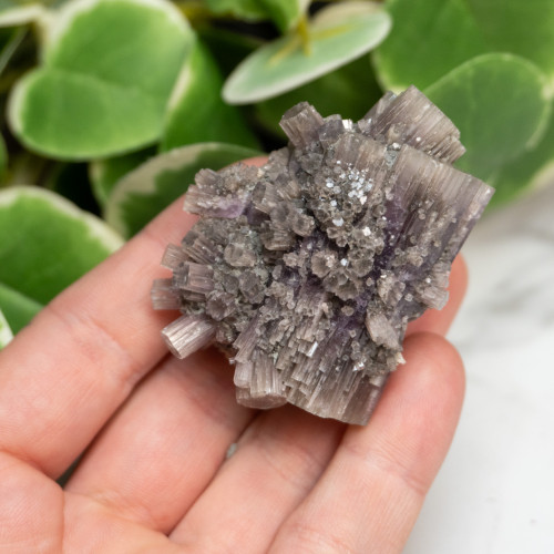 Purple Aragonite #10