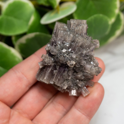 Purple Aragonite #10