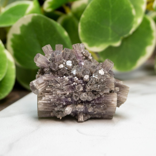 Purple Aragonite #10