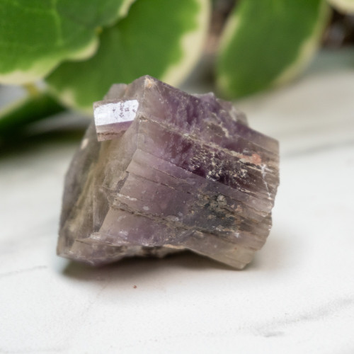 Purple Aragonite #8