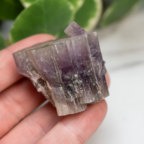 Purple Aragonite #8