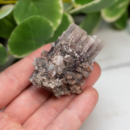 Purple Aragonite #7