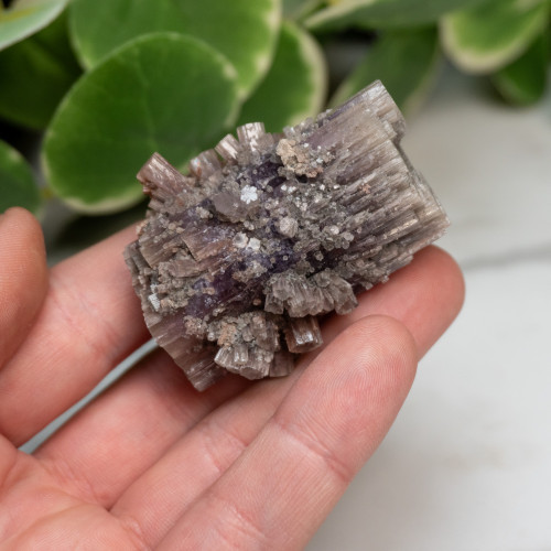 Purple Aragonite #7