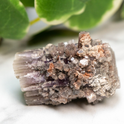 Purple Aragonite #7