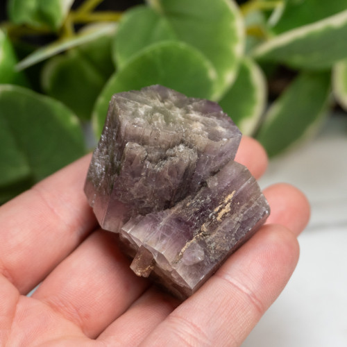 Purple Aragonite #6