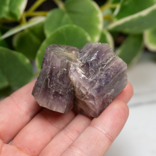 Purple Aragonite #6