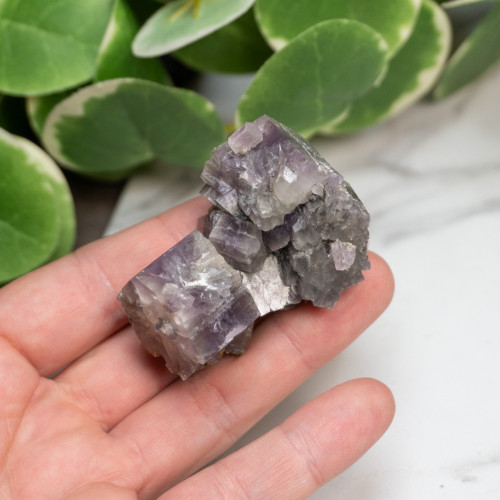 Purple Aragonite #5