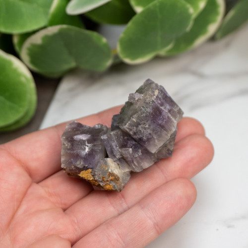 Purple Aragonite #5